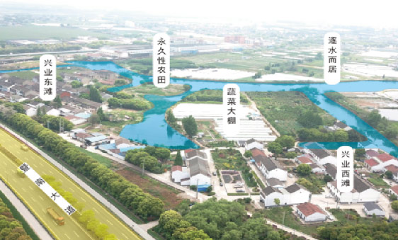鄉村振興設計項目