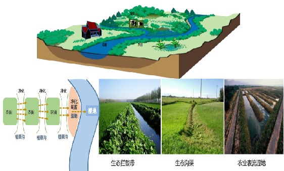 湖泊綜合治理設計項目